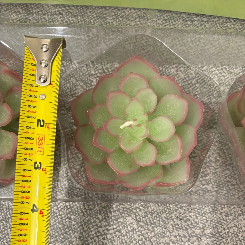 Crate&Barrel succulent floating